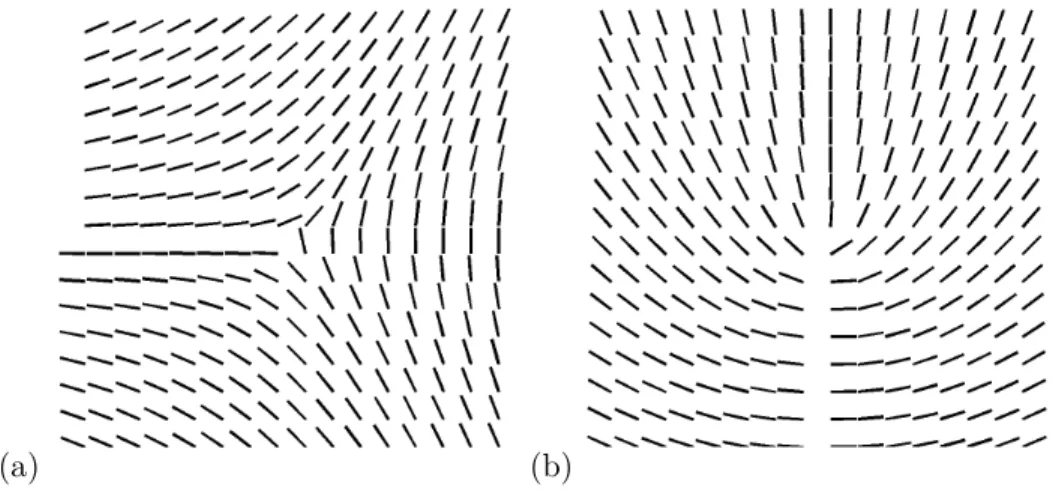 Figure 1.18 - Représentation des variations d’azimut autour d’une singularité de type (a) &#34;star&#34; et (b)
