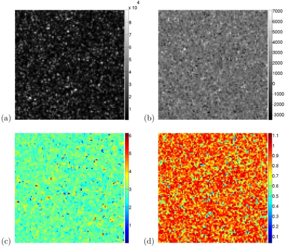 Figure 2.15 - Mesure expérimentale des variations polarimétriques dans un champ diffusé par de l’aluminium brossé illuminé par un laser SLM @ 532 nm