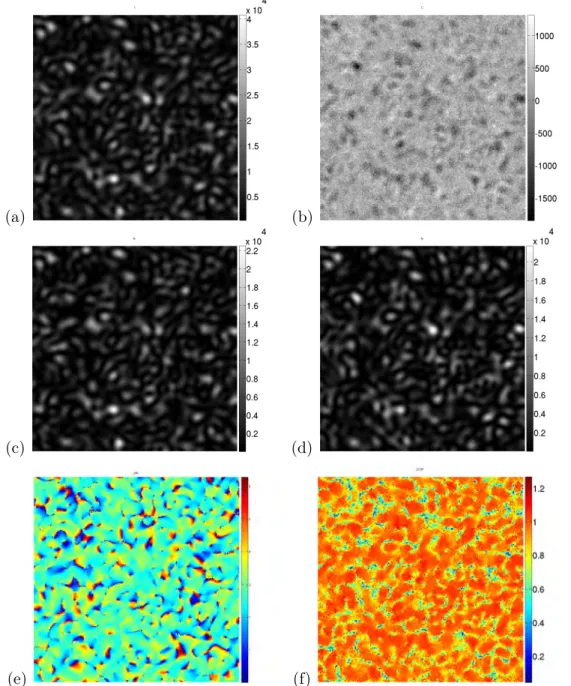 Figure 2.20 - Mesure expérimentale des variations polarimétriques dans un champ diffusé par de l’aluminium brossé illuminé par un laser SLM @ 532 nm