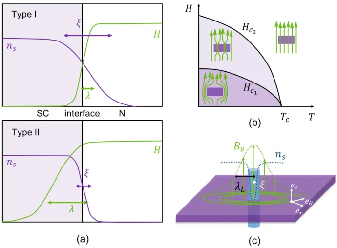 Figure 1.6 – (a) ´ Evolution du champ magn´etique H et de la densit´e de paires de Cooper n s