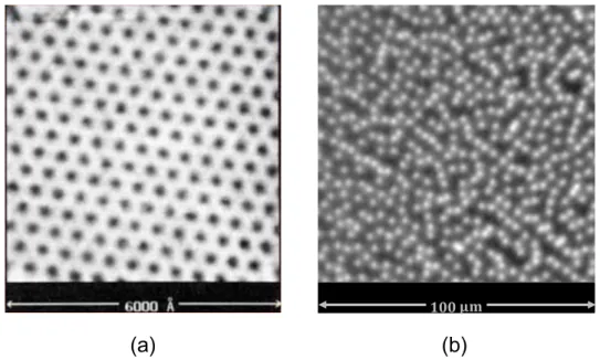 Figure 1.8 – a) R´eseau triangulaire dans un cristal de NbSe 2 observ´e par microscopie