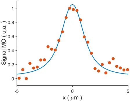 Figure 2.10 – Profil d’intensit´e d’un vortex imag´e par m´ethode magn´eto-optique dans un film de niobium