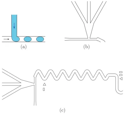 Figure 3.6 – (a) Schéma de principe de la jonction en T. Le ﬂuide porteur arrive par la gauche (ﬂux représenté par la ﬂèche noire) et l’eau arrive par le haut (ﬂèche bleue)