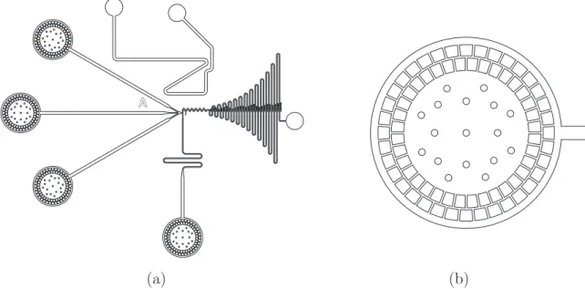Figure 3.8 – Dessins AutoCAD : (a) Vue d’ensemble d’un dessin de dispositif. Les trois entrées destinées aux solutions aqueuses se situent à gauche