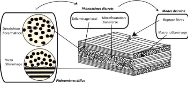 Figure 1 – Les phénomènes de dégradation au sein des stratifiés