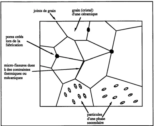 Figure 1.3  :  Microstnicture d'une céramique cristalline  :  grains, joints  de grains, pores,  microfissures et phases secondaires (d'après [Ashby et Jones, 19861)