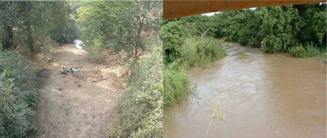 Figure 7 : Intermittence des écoulements de surface : la rivière Donga en saison sèche  (février 2003) et humide (juillet 2003)