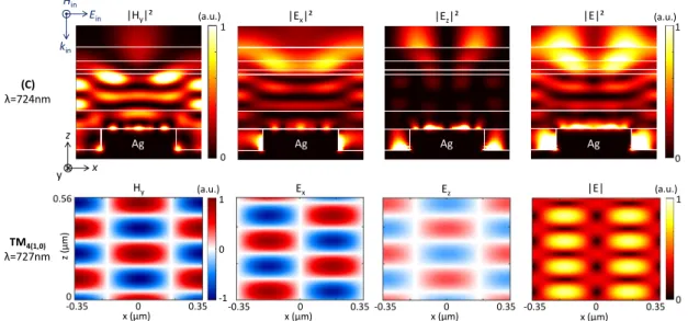 Figure 4.8  Electromagnetic eld cross-section distribution (TM polarization) for the resonance (C) at 724 nm