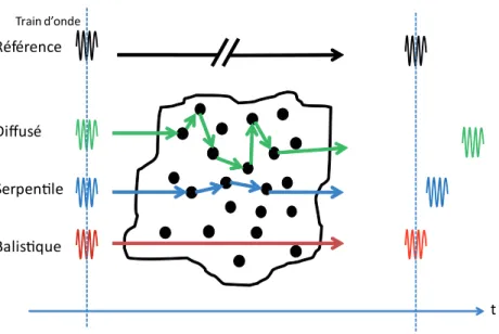 Figure 1.10 – Principe du ﬁltrage temporel cohérent : propagation des trains d’onde