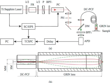 Figure 1.13  Design of a berred endomicroscope by the team of Laura Marcu at UC Davis University(USA) [199].