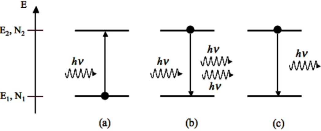 Figure II-1 : Schéma représentant les trois processus fondamentaux d’interaction photon-matière :  l’absorption (a), l’émission stimulée (b) et l’émission spontanée (c)