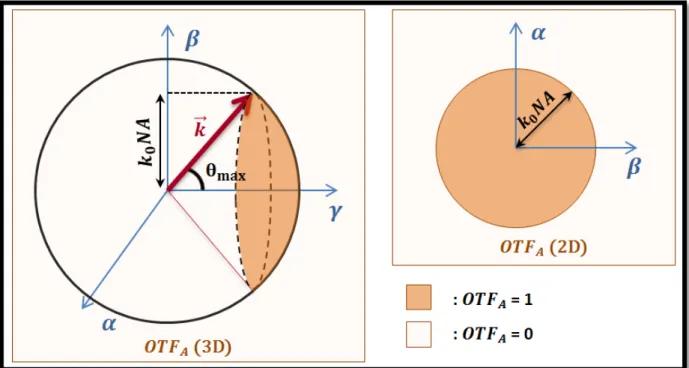 Figure I.1-6 - Représentations de la fonction de transfert  optique en amplitude (2D et 3D)  