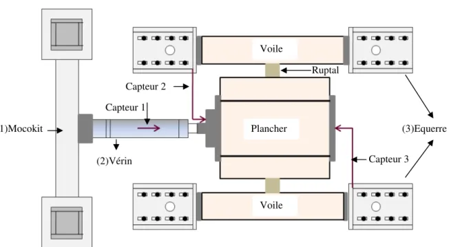 Figure 1.6: Schéma du montage de l’essai en double cisaillement des Ruptal 