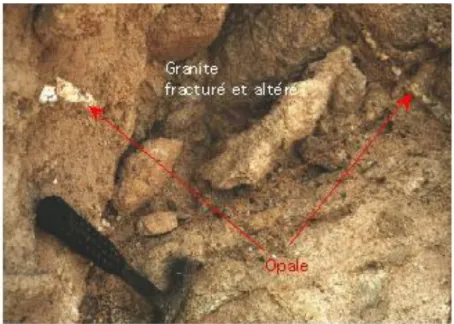 Figure II- 19 : Quelques exemples de structures ouvertes au niveau des corniches de Yantala et  Gamkallé 