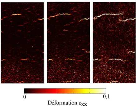 Figure 2.25 : Champ de déformation longitudinale pour un essai à 190 MPa à 3 instants de la durée de vie.