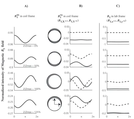 Fig. 8.1  Set of gures ρ = 0.25 mm : Magneti eld vetors alulated in the empty