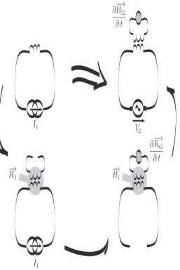 Fig. 5.2  Step by step desription of the NMR experiment : During the pulse step (left-