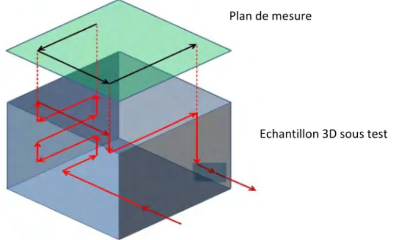 Figure 44 : Projections de lignes de courants sur le plan de mesure du capteur [8]. 