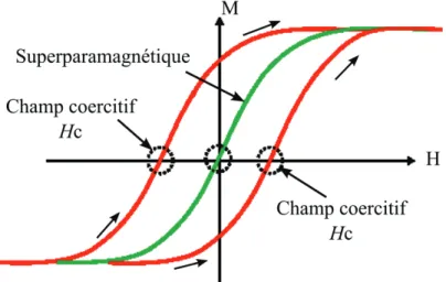 Figure 1. 2 : Réponses magnétiques avec et sans hystérésis respectivement en rouge et vert