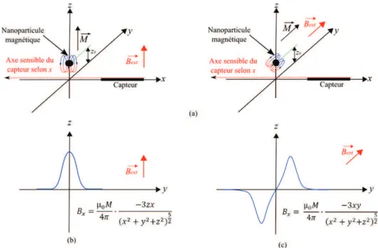 Figure 1. 18 : Présentation (a) des deux configurations possibles d’excitation magnétique sur  les  axes  z  ou  y,  perpendiculaires  à  l’axe  sensible  du  capteur  x,  (b)  réponse  magnétique  attendue  pour  une  excitation  sur  l’axe  z  et  (c)  r