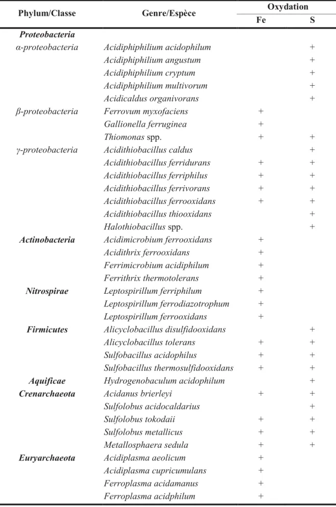 Tableau  1  :  Principaux  procaryotes  ferro-  et  sulfo-oxydants  observés  dans  les  DMA,  adapté  de  Johnson  et  Hallberg (2003, 2008) ; Hallberg, (2010) ; Volant (2012) ; Javerliat (2014) ; Johnson et al