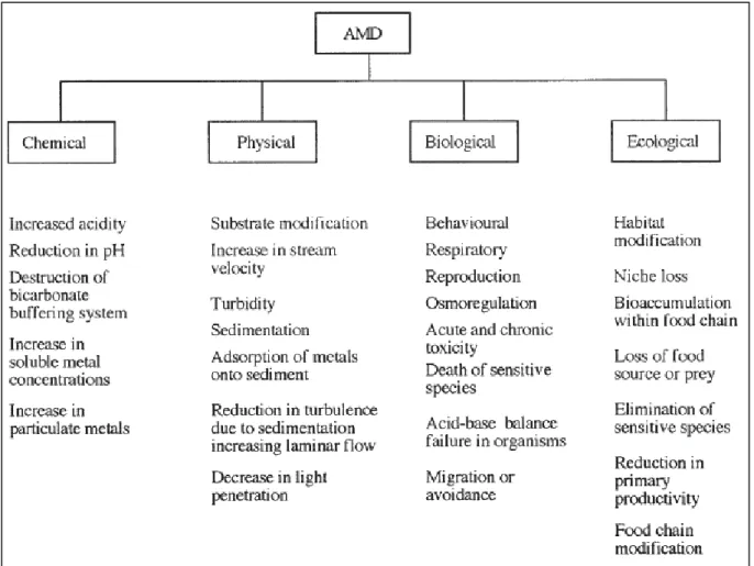 Figure 3 : Les principaux impacts des DMA sur un système lotique (Gray, 1997) 