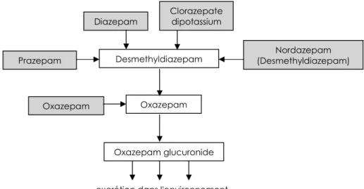 Figure 3. Schéma des différentes sources d'oxazépam.   