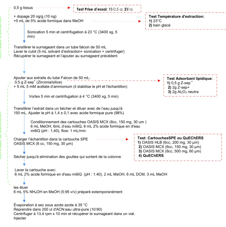 Figure 5. Tests realisés et protocole définitif d'extraction de la venlafaxine et ses métabolites dans les tissus de la moule