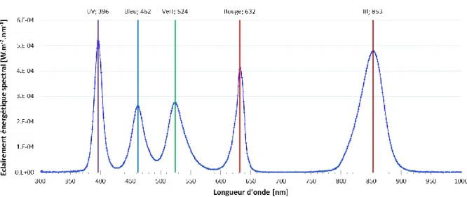 Fig 2.1.14 : spectre mesuré par le spectromètre SPECBOS 1211UV de la source LEDs. 