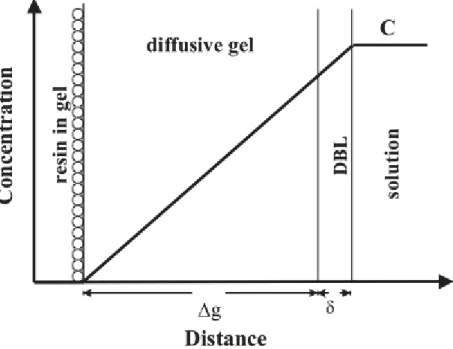 Figure  4 :  Coupe  schématique  à  travers  un  dispositif  de  DGT  en  contact  avec  une  solution,  montrant le gradient de concentration à l'état stationnaire