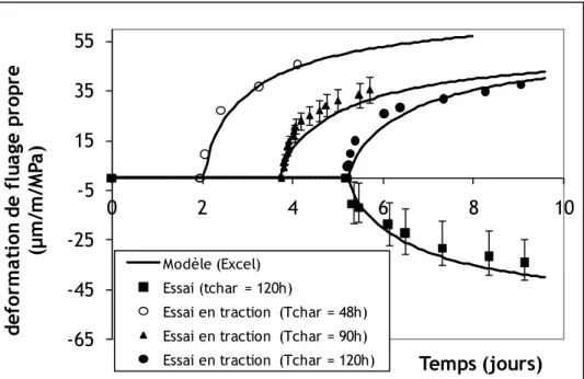 Figure I-59 :  Influence de l’âge du chargement sur les déformations de fluage propre en  traction 