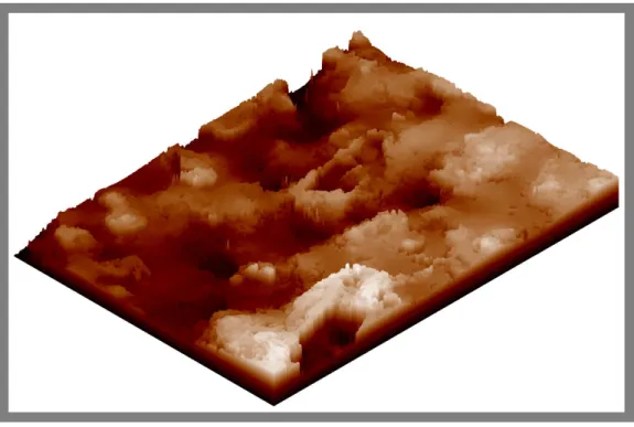 Figure 41: Représentation 3D de la rugosité de surface du matériau GdTb (14°C) 
