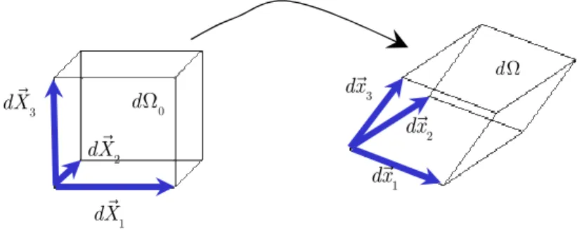 Figure 4 : Transport d’un élément de volume  Le volume  dΩ  est représenté par le produit mixte des vecteurs  dx dx dx 1 ,  2 ,  3