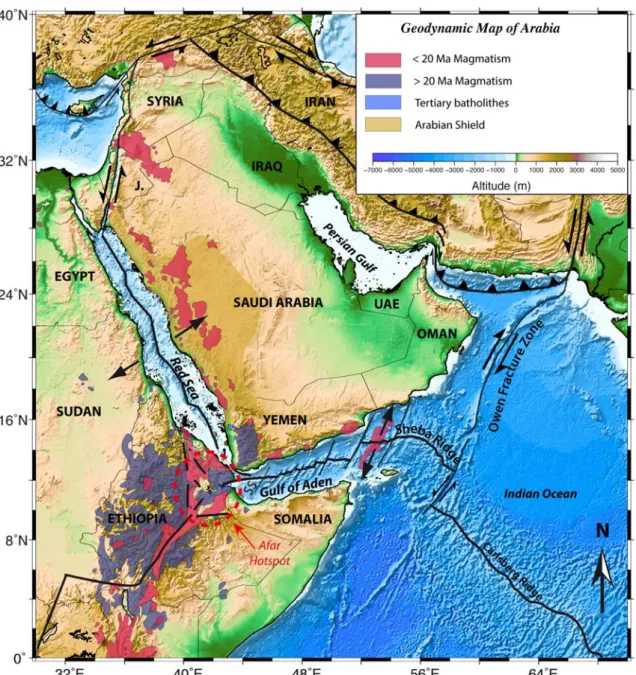 Figure I.1.1: Carte géodynamique de l’Arabie (modifiée d’après Davison et al. (1994))