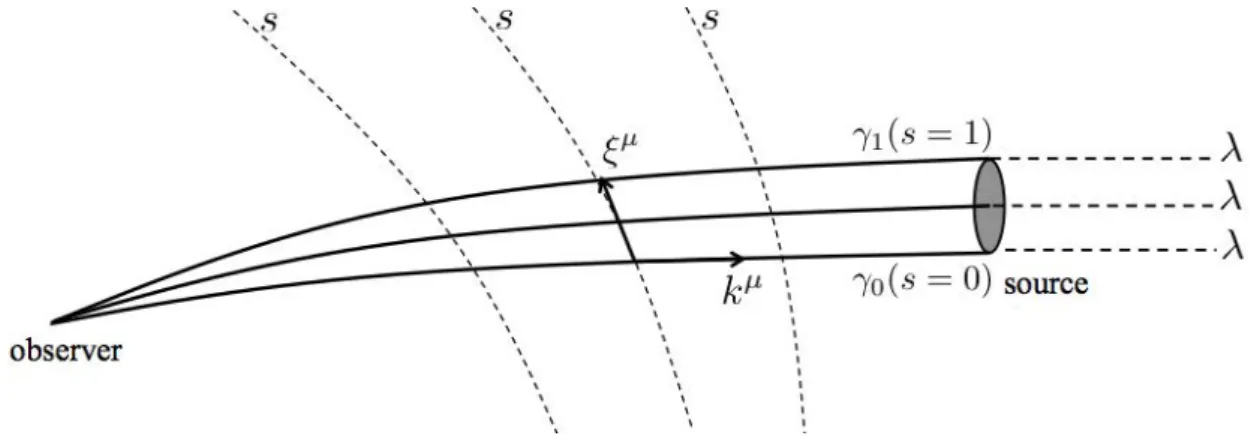 Figure 1.3: A geodesic bundle.