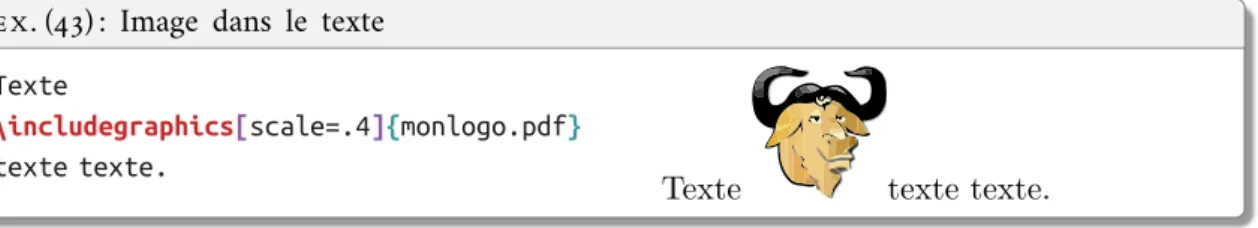 Figure 0.1: Exemple d’image