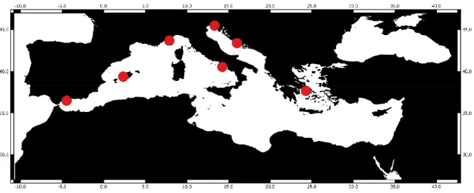 Figure 3 : Carte représentative des séries temporelles du zooplancton existantes dans la mer  Méditerranée (selon NMFS-COPEPOD (2009)) 