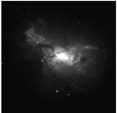 Fig. 3.9 – La galaxie Henize 2-10 détectée par le Hubble Space Telescope.