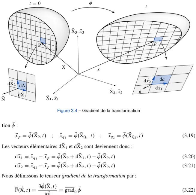 Figure 3.4 – Gradient de la transformation
