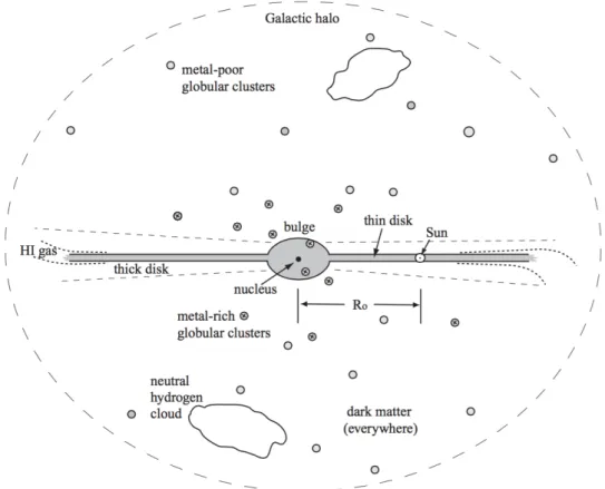 Figure 1.5 – A schematic side view of the Milky Way, from Sparke &amp; Gallagher (2007).