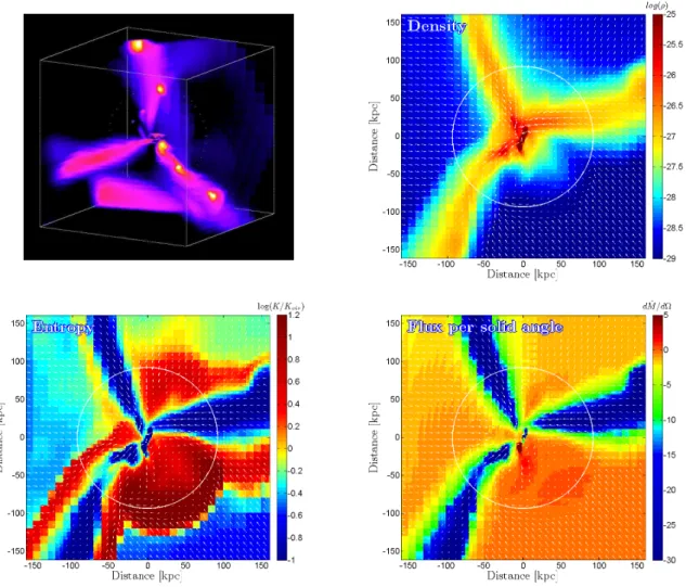 Figure 1.14 – Three dimensional view and slices of a simulated galaxy fed by cold streams at z = 2 