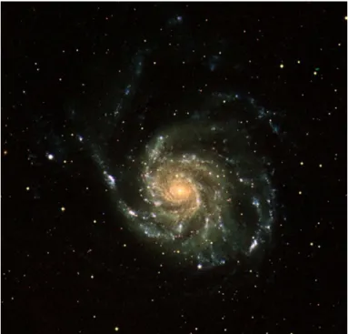 Fig. 3.7 – La galaxie M 101 vue en ultra-violet par GALEX. Elle pr´esente une forte asym´etrie m = 1 ou