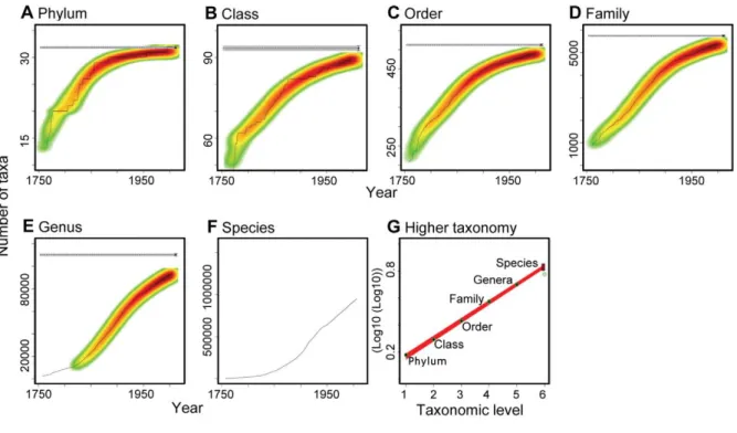 Figure 3.8 – Évolution du nombre de taxons connus en fonction du temps et va- va-leur estimée du nombre total (ligne horizontale grise, A à E)