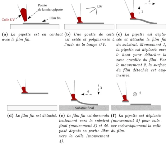 Figure 2.3 - Schéma de la méthode de collage complète. (a) à (d) Collage et détachement du lm.