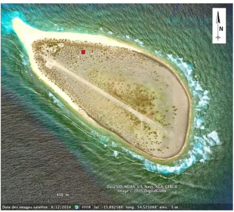 Figure  36 :  Image  satellite  de  l’île  Tromelin,  Google  Earth.  La  localisation  de  la  station  sismique  est 