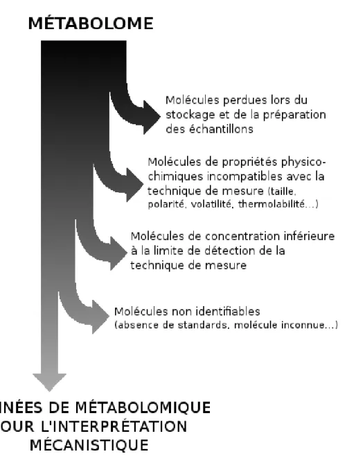 Figure 1.2 – Différence entre le métabolome réel et les données exploitables pour l’interprétation mécanistique