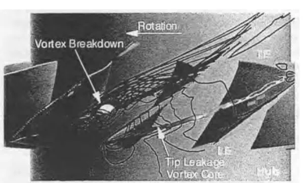 Fig. 2.6 Tip-leakage flow structure near stall, observed in Furukawa and Inoue’s RANS computation [44].