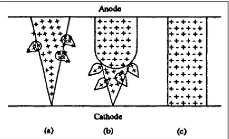 Figure 12 : Micro-décharges se développant dans la direction de la cathode, créant un canal cathodique [36]