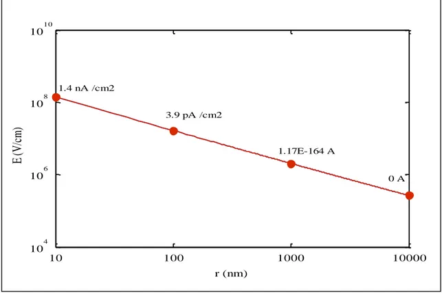 Figure 18 : Champ électrique d’interface dans une géométrie cylindrique et courant par effet de champ attendu