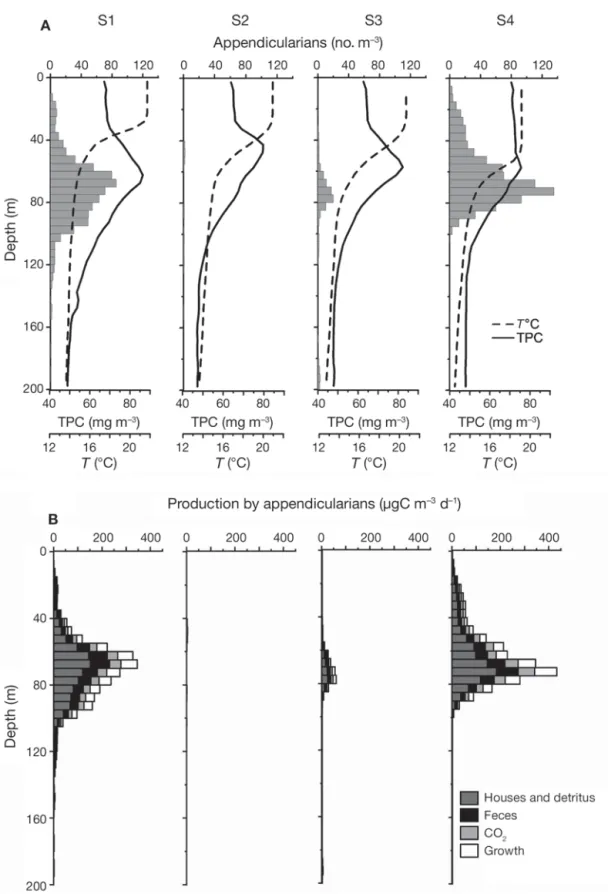 Fig. 7. Oikopleura spp. Vertical distributions of observed and modelled variables at 4 sampling sites during the POMME 3 Leg 2 cruise in the North Atlantic in 2001